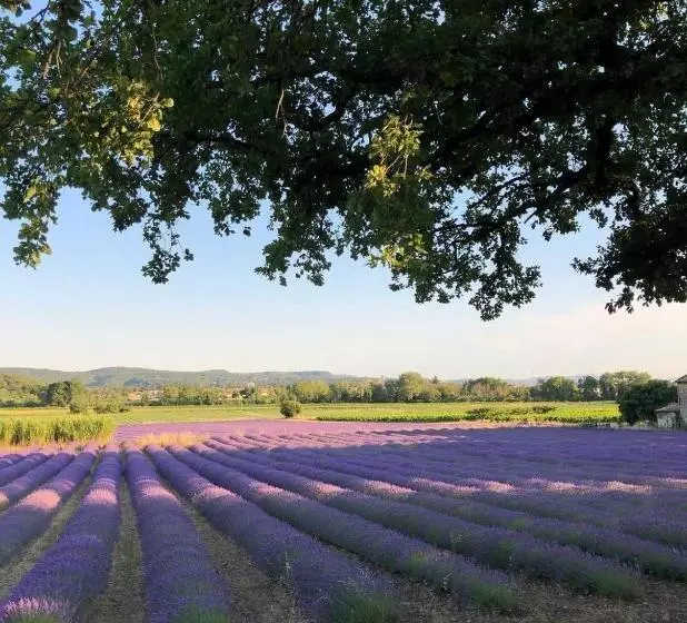 Pension  La Petite Plaine