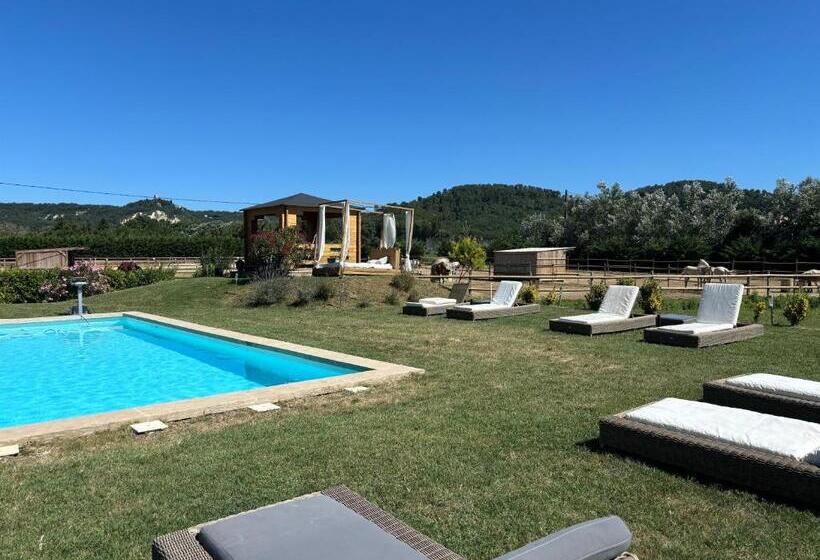 膳宿费 La Petite Plaine