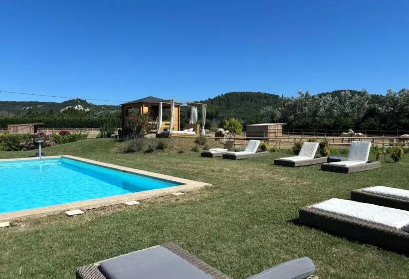 Pension  La Petite Plaine