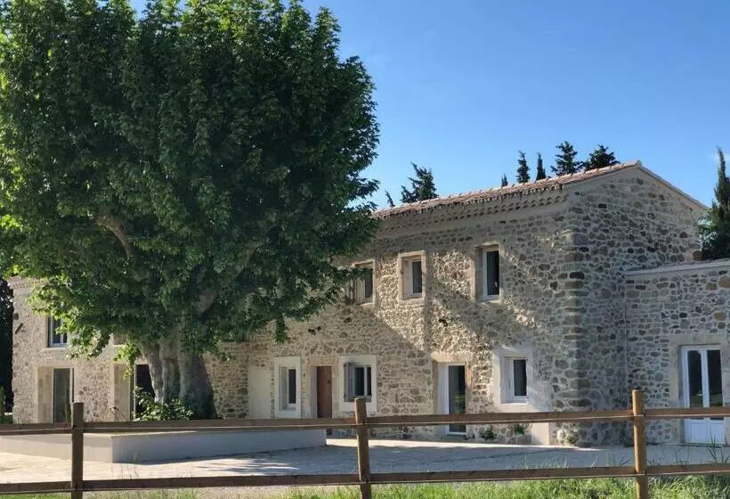 Pension  La Petite Plaine