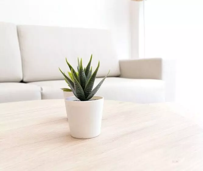 Dynastic Rooms Apartments