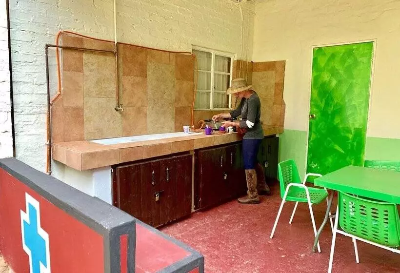 Retkeilymaja Lion S Den Backpackers