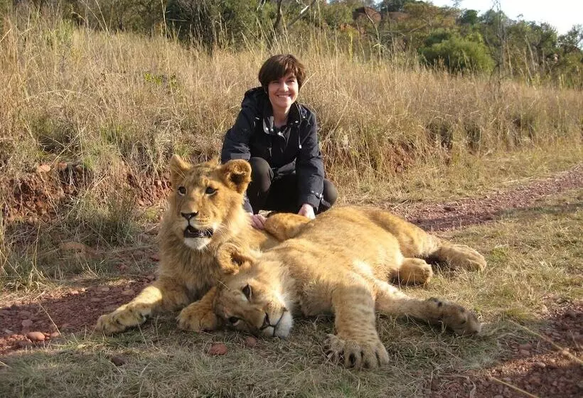 Retkeilymaja Lion S Den Backpackers