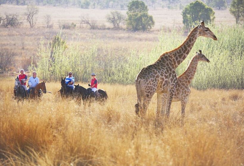 Herberge Lion S Den Backpackers