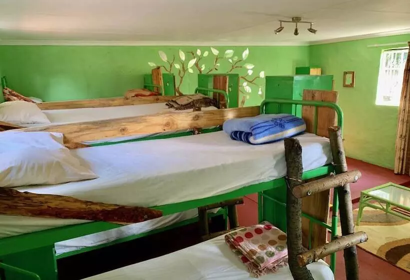 Retkeilymaja Lion S Den Backpackers