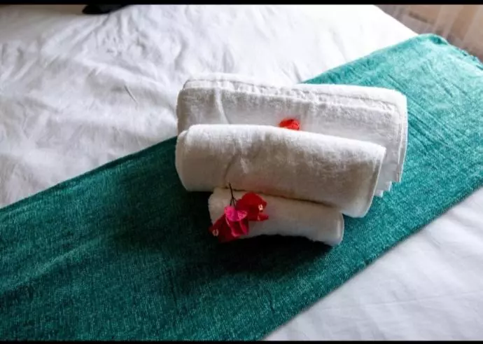 Majatalo Bougainvilla Guest House