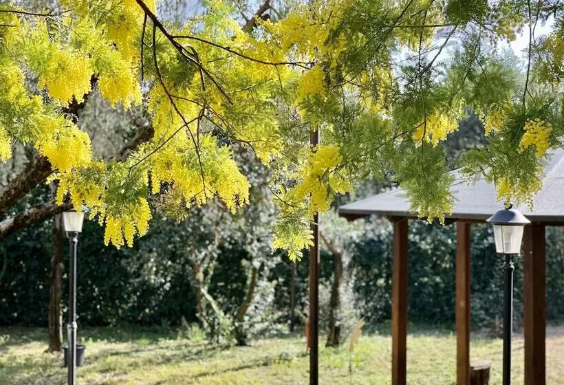 Hotelli Ennesima Osteria Con Alloggio  Bike