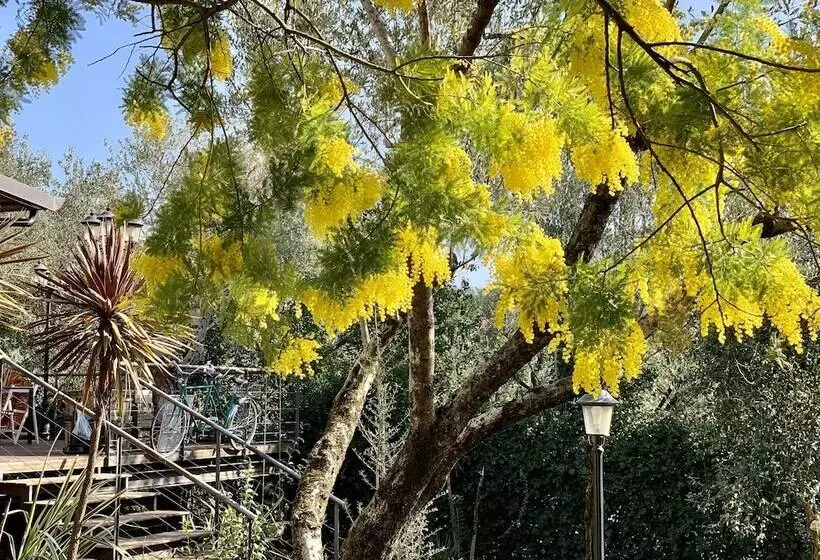 Hotelli Ennesima Osteria Con Alloggio  Bike