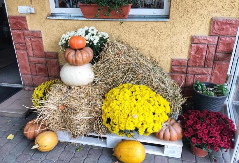 בית מלון כפרי Kontinent