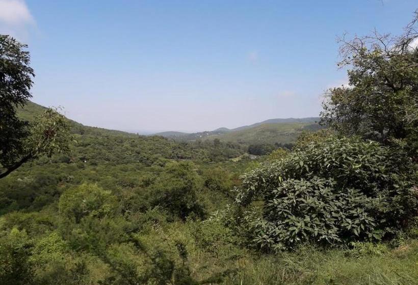 بنسيون Declan House