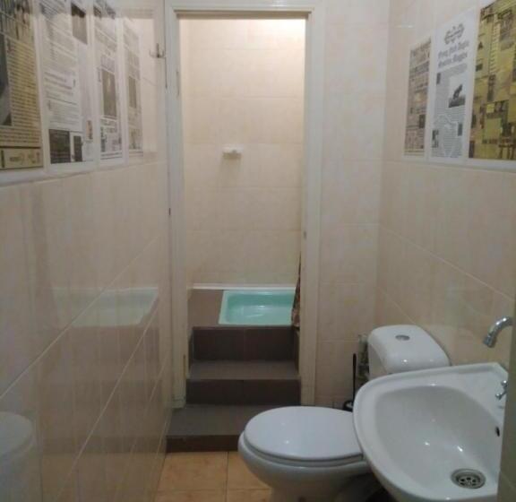 Alberg у поттера