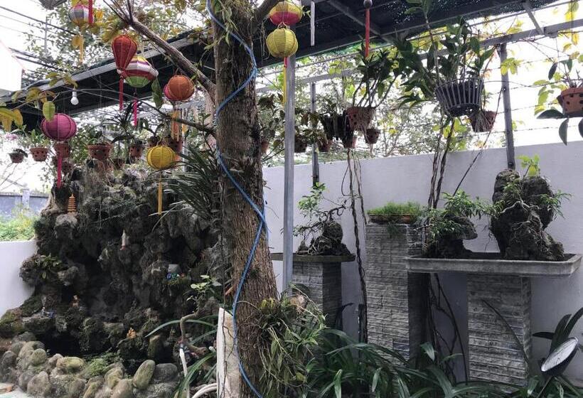 Cheerful Hoi An Hostel