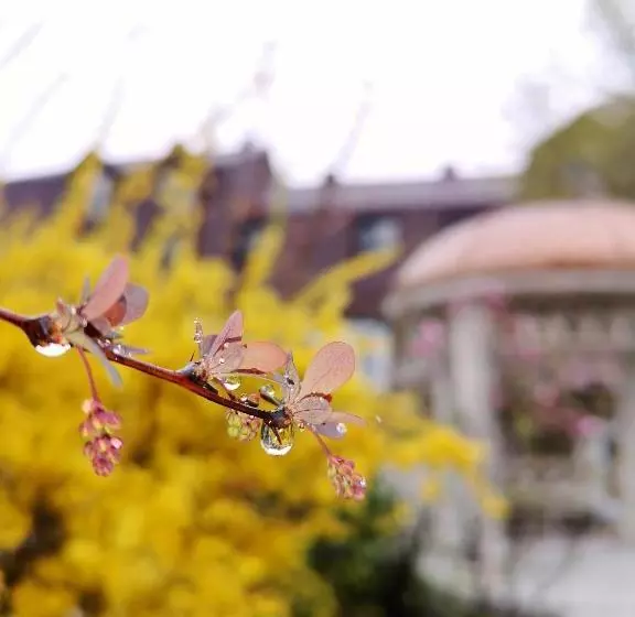 Hotelli Rgk Baron Gartenberg