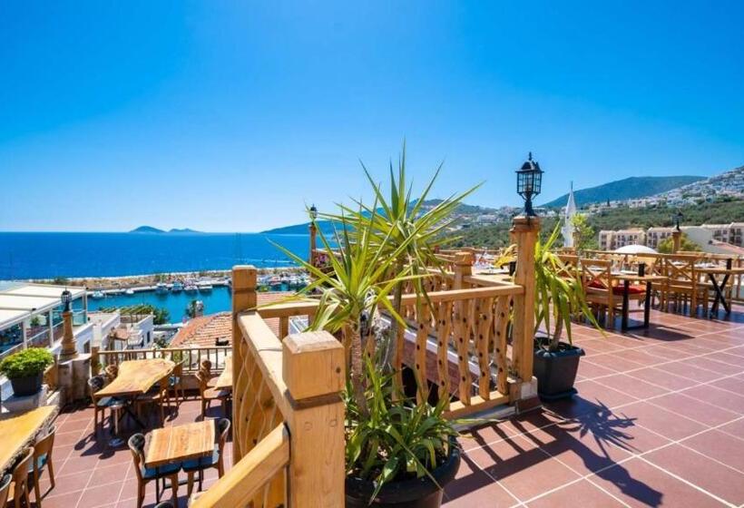 ペンション Old Trading House