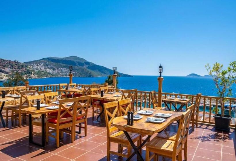 ペンション Old Trading House