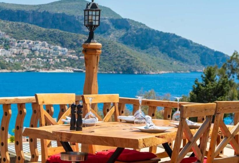 ペンション Old Trading House