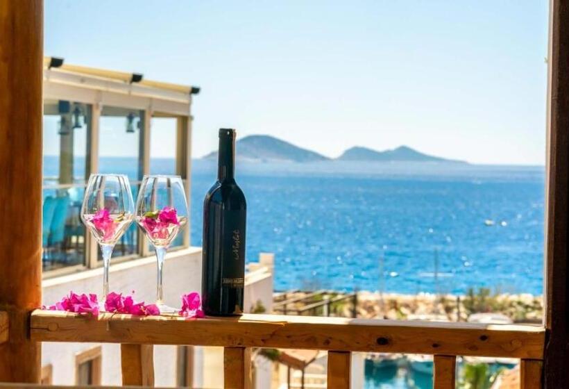 ペンション Old Trading House