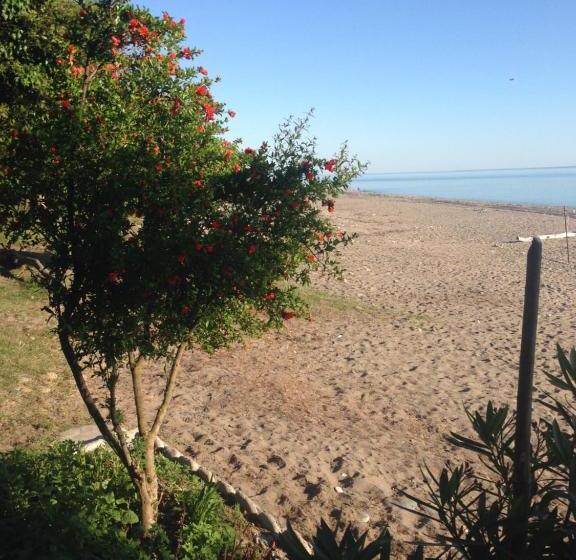 پانسیون Private House