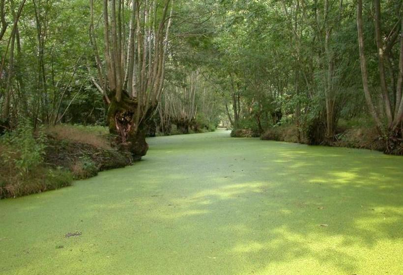 צימר Au Logis Du Marais Sauvage