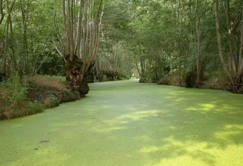 Aamiaismajoitus (B&B) Au Logis Du Marais Sauvage