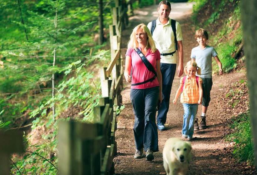 منتجع Le Moulin De Sournia   Gites
