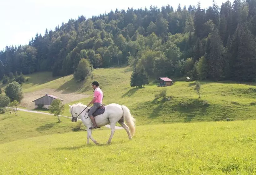 Aamiaismajoitus (B&B) Chambres D Hôtes Le Jorat
