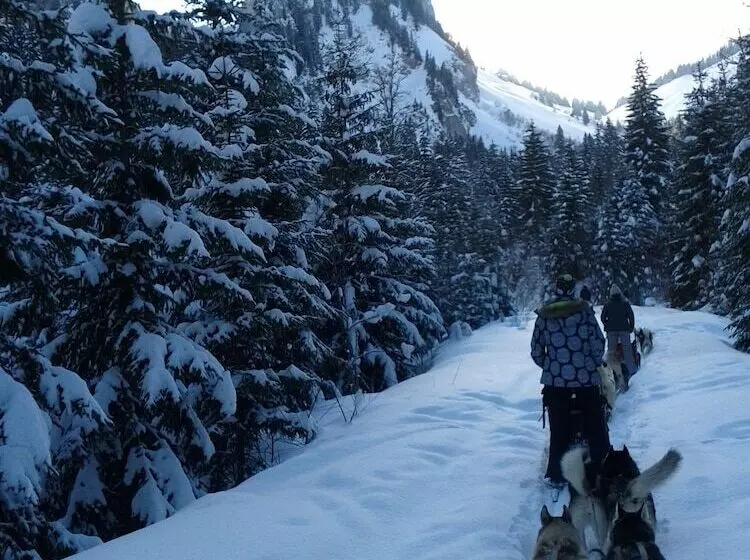 Aamiaismajoitus (B&B) Chambres D Hôtes Le Jorat