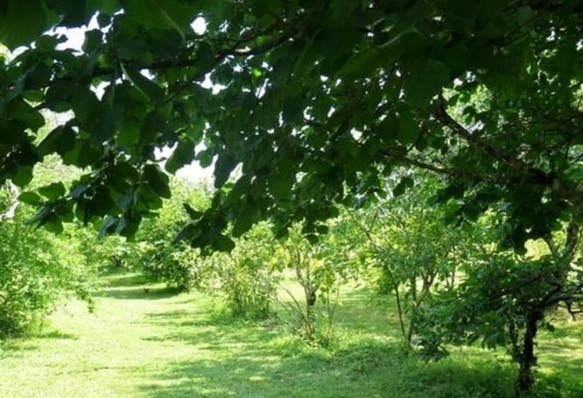 بنسيون Chambre D Hôtes L Abricotier