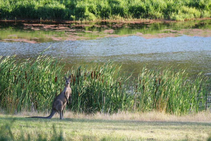 호텔 Cedars Mount View Villas