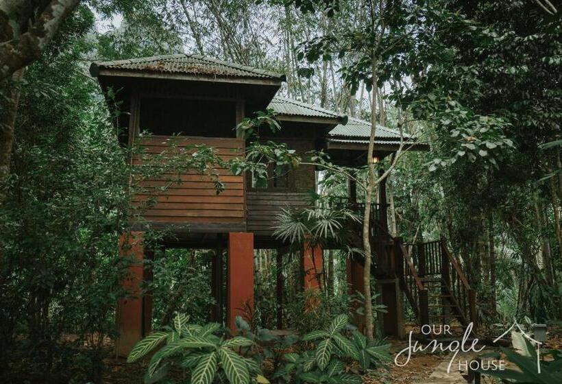 호텔 Our Jungle House