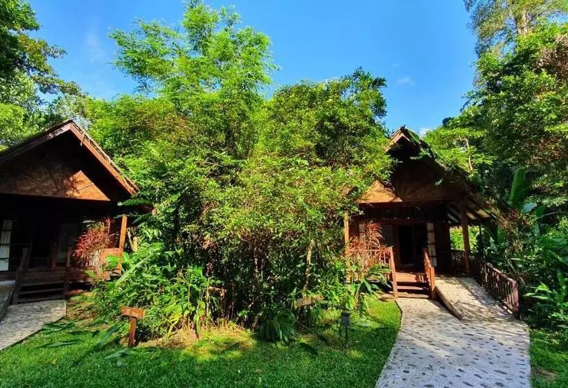 Hotelli Our Jungle House