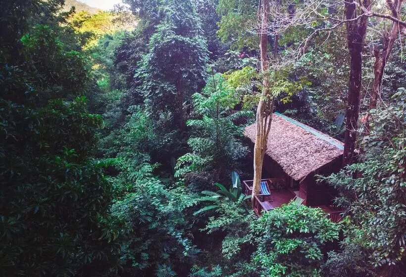 Hotelli Our Jungle House