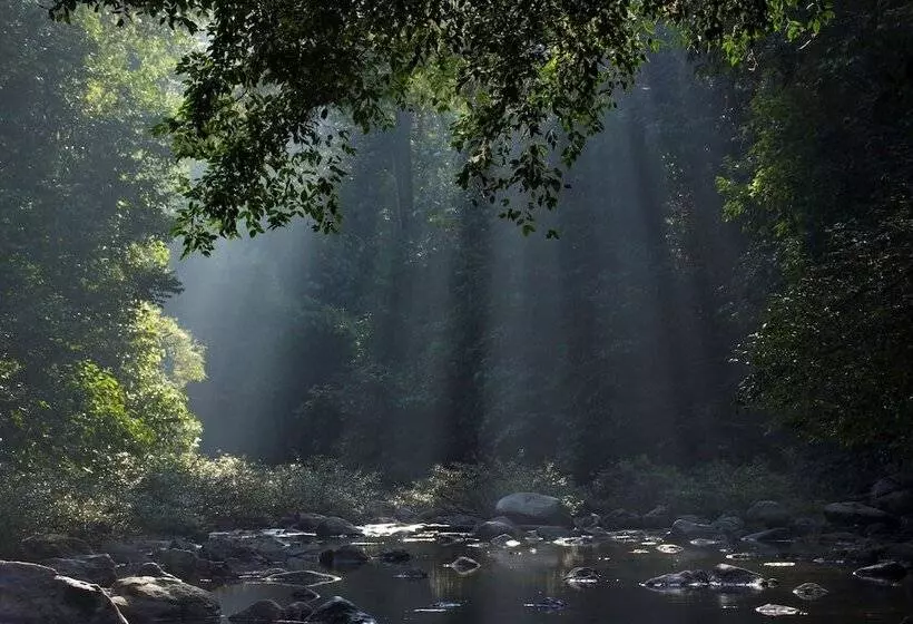 Hotelli Our Jungle House