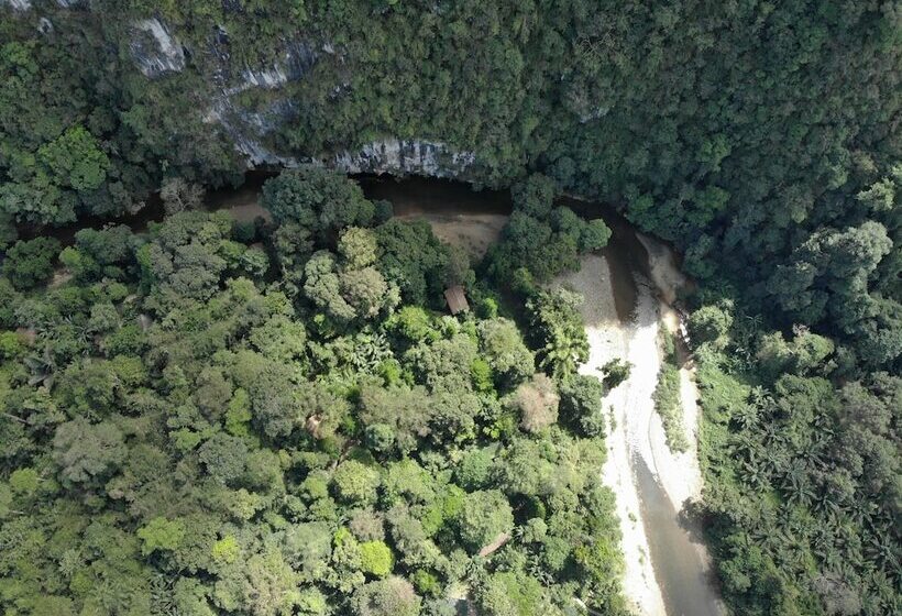 호텔 Our Jungle House