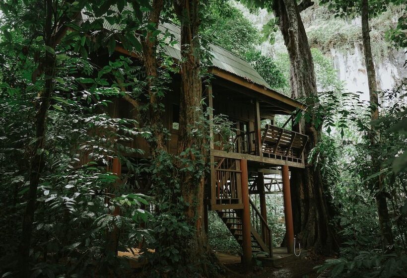 호텔 Our Jungle House