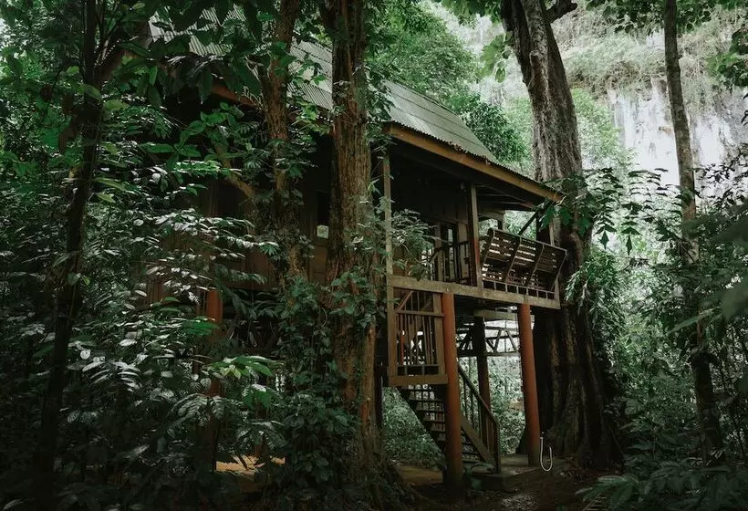 Hotelli Our Jungle House