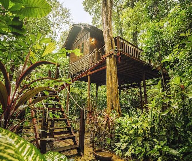호텔 Our Jungle House