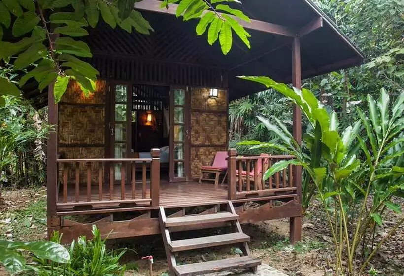 Hotelli Our Jungle House