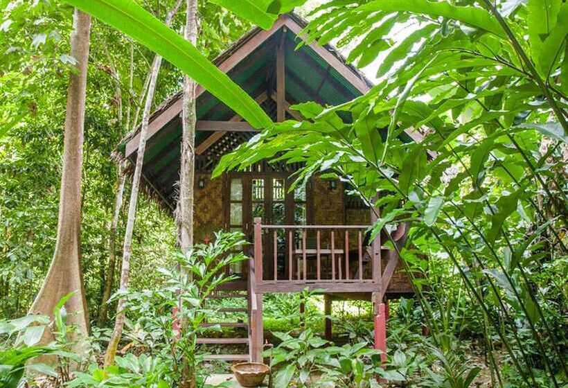 호텔 Our Jungle House