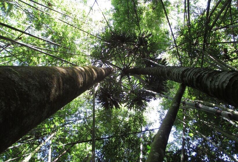 호텔 Our Jungle House