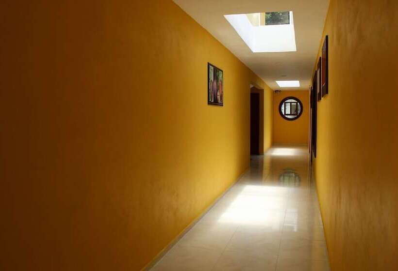 Venecia Hotel Orizaba