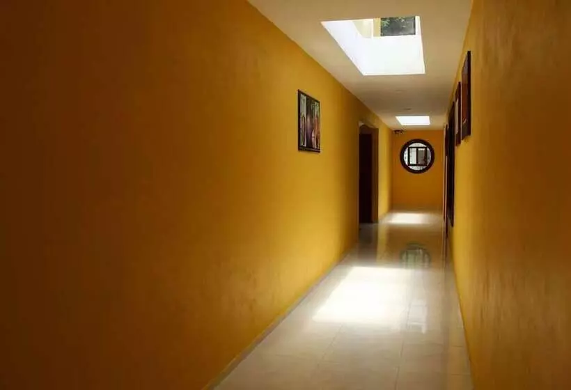 Venecia Hotel Orizaba