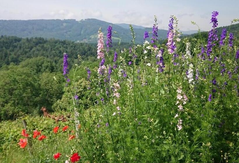 膳宿费 Gästehaus Der Gamser Winzerstube