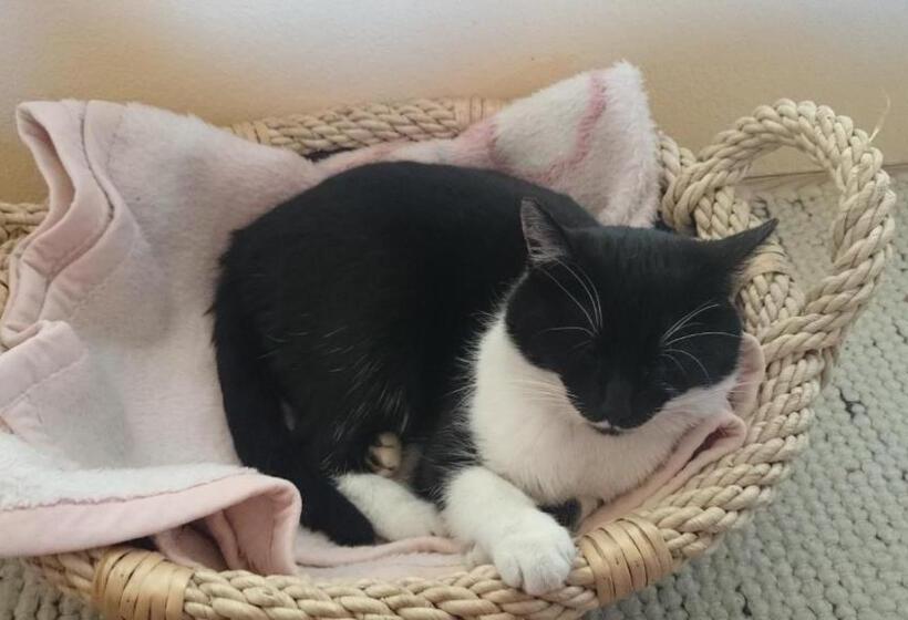 膳宿费 Gästehaus Der Gamser Winzerstube