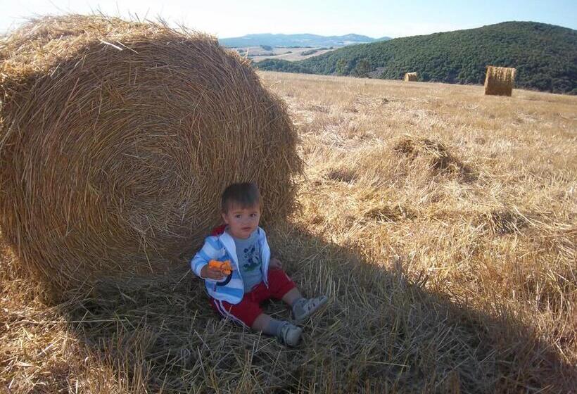 בית מלון כפרי Appartamento Girasole Agriturismo Le Selvole