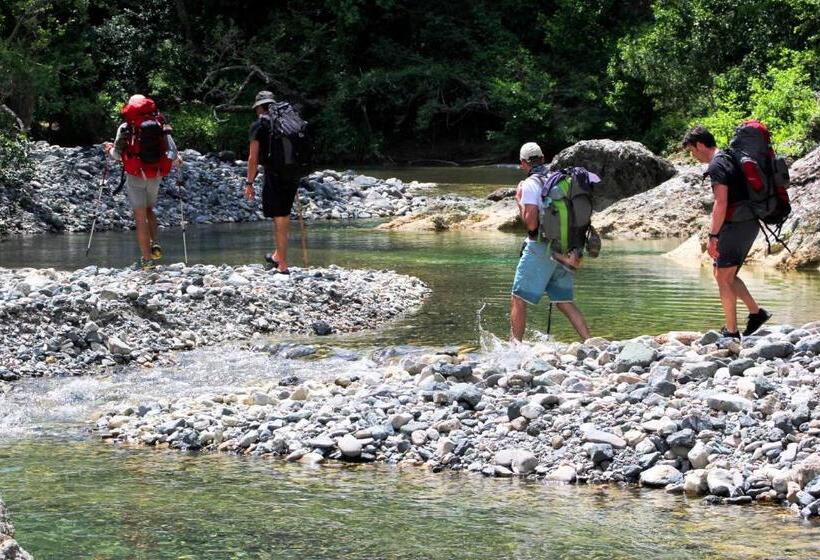 בית מלון כפרי Appartamento Girasole Agriturismo Le Selvole