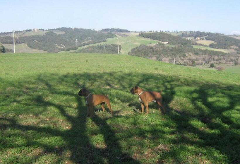 בית מלון כפרי Appartamento Girasole Agriturismo Le Selvole