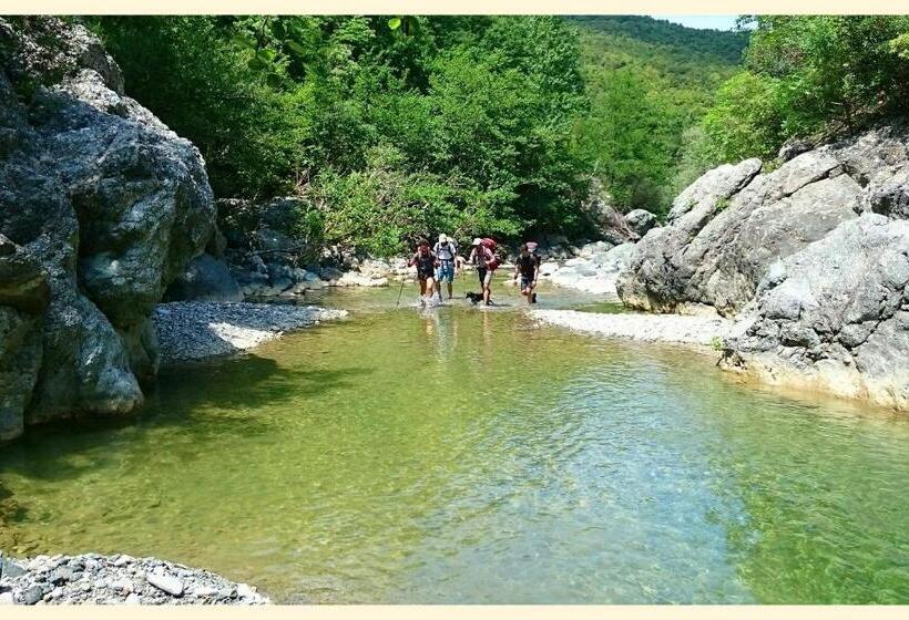 בית מלון כפרי Appartamento Girasole Agriturismo Le Selvole