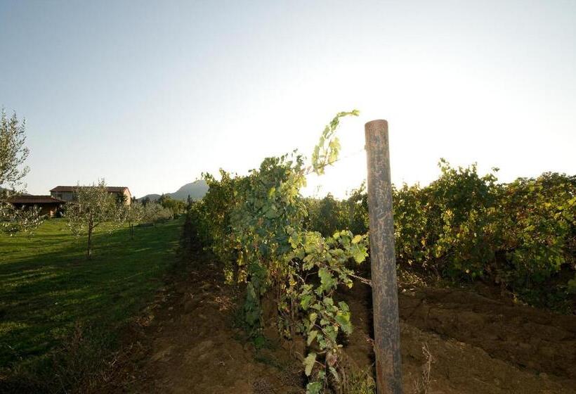 בית מלון כפרי Appartamento Girasole Agriturismo Le Selvole