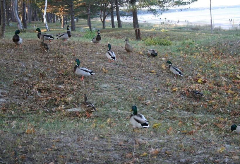 ペンション Villa Maria Wohnung 5